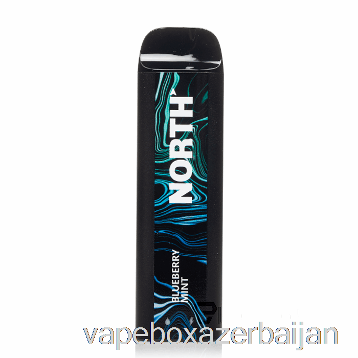 E-Juice Vape North 5000 Disposable Blueberry Mint